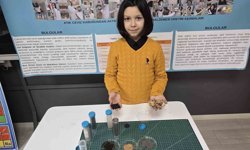 Ceviz kabuğundan yalıtım malzemesi geliştirdi, hedefinde Türkiye birinciliği var