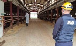 Çiftlikteki gaz sızıntısı ihbarı ekipleri harekete geçirdi