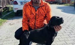 Çiğli'de arıtma tesisindeki çamur çukuruna araçla düşen işçi hayatını kaybetti