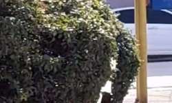 Çocuk parkı içinde sigara içen çocuklar kamerada