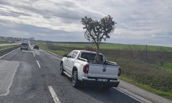 D100'de şaşırtan görüntü: Pikapta zeytin ağacı taşıdılar