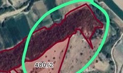 Definecilerin hedefi olan Derbent sit alanı ilan edildi