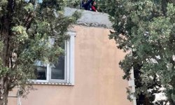 Defne'de ağaçta mahsur kalan kediyi itfaiye kurtardı