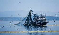 Denizlerde av yasağı 15 Nisan'da başlıyor