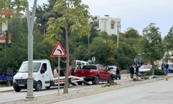 Direksiyon hakimiyetini kaybetti, 2 ağaç ve elektrik direğini yerinden söktü