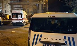 Diyarbakır'da eşini öldürüp kızını ağır yaralayan zanlı tutuklandı