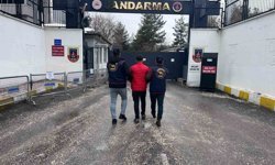 Diyarbakır'da haklarında kesinleşmiş hapis cezası bulunan 153 kişi yakalandı