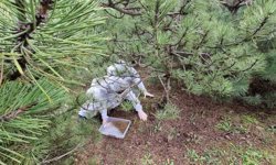 Doğanın sessiz kahramanları görev başında