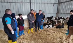 Doğum sonrası hataya yer yok: Üreticiye net reçete