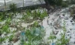 Dolu yağışı beyaza bürüdü