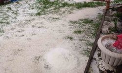 Düzce'nin yüksek kesimlerinde dolu etkili oldu