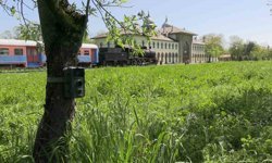 Edirne'de fotokapanlar yaban hayatını görüntülüyor