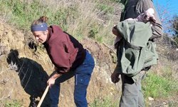 Edremit'te Kazdağı Bal Ormanına uluslararası ilgi