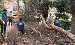 Efeler Belediyesi parkları güvenli hale getiriyor