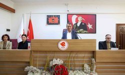 Efeler Belediyesi'ne ait taşınmazlar Milli Eğitim Müdürlüğü'ne tahsis edildi