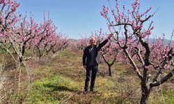 Elazığ'da meyve bahçelerinde entegre mücadele çalışması