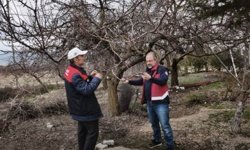 Elazığ'da zirai don mesaisi