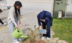 Emet MYO kampüsüne gül fidanı dikimi
