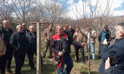 Erzincan'da çiftçilere budama eğitimi verildi