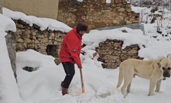 Erzincan'da hava soğudu, yüksek kesimlere kar yağdı