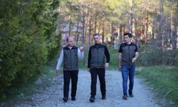 Erzincan'da orman projeleri incelendi