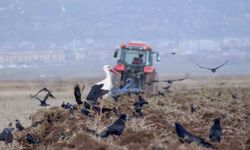 Erzincan'da zirai don uyarısı