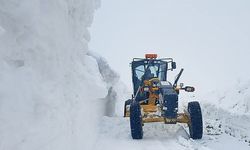 Erzurum'da karın görünmeyen iki yüzü