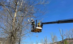 Esenyurt Belediyesi'nden yeşil alanlara bahar dokunuşu