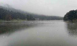 Gölcük'te kar yağışı ve sis etkili oldu