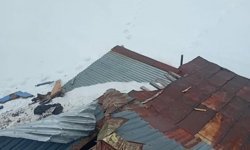 Gümüşhane yaylalarında ayı dehşeti devam ediyor