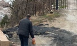 Gümüşhane'de aç kalan yavru ayıyı elleriyle beslediler