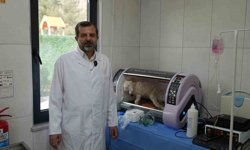 Gürsu Butik Hayvanat Bahçesi yeni sakinlerini ağırlıyor