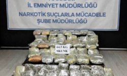 Hakkari'de 64,5 kilogram skunk ele geçirildi