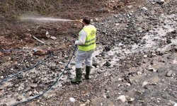 Hatay Büyükşehir Belediyesi haşereyle mücadele çalışmalarına devam ediyor