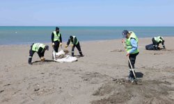 Hatay Büyükşehir Belediyesi, sahillerde temizlik çalışmasını yıl boyu sürdürüyor