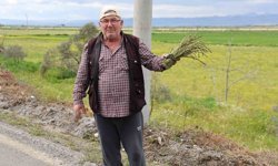 Hem sağlığını koruyor, hem de paylaşmanın mutluluğunu yaşıyor