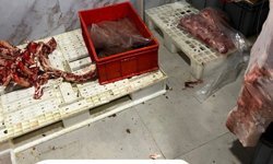 Hijyen kurallarının hiçe sayıldığı işletmeye 300 bin liranın üzerinde ceza