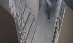 Hırsızlık için girdiği binada kapıları yokladı, açamayınca koridora tuvaletini yaptı
