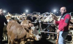 İç Anadolu'nun en büyük hayvan pazarında yoğun kurban mesaisi başladı
