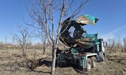 Iğdır'da 15-16 yıllık 77 kiraz ağacı taşınarak kesilmekten kurtarıldı
