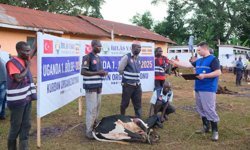 İhlas Vakfı vekaleten kurban hisse bedellerini açıkladı