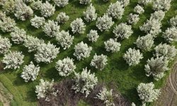 İnegöl'de kartpostallık görüntüler