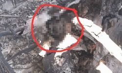 İran'dan düşürülen askeri uçakta ABD askerine ait vücut parçasının tespit edildiği iddiası