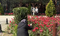 İstanbul'da lale zamanı başladı, Pendik Korusu'nda renk cümbüşü yaşandı