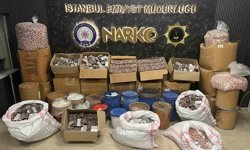 İstanbul'da uyuşturucu operasyonunda 2 gözaltı