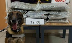 İstanbul'dan Ankara'ya uyuşturucu götürüyordu, Düzce'de yakalandı