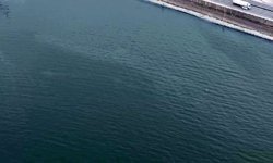 İzmir Körfezi'nde kirlilik alarmı: Aynı tehdit 11. kez görüldü