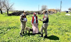 Jandarma ekipleri KADES uygulamasını tanıttı