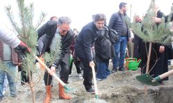 'Kadınlarla El Ele Bir Fidan Bin Nefes' etkinliğinde fidanlar toprakla buluştu