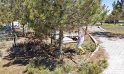 Kahramanmaraş'ta mezarlıklarda yenileme başladı